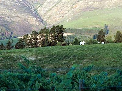 Mountain Cottages At Haskell Vineyard Stellenbosch Dış mekan fotoğraf